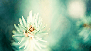 coincidence or miracle