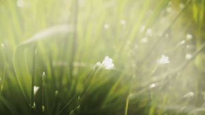 "I need do nothing": be patient