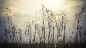 Accepting Christ vision