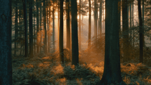 Inner guidance of the Holy Spirit