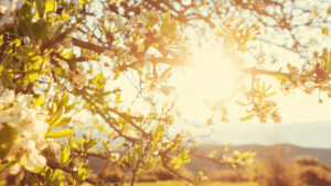 Overcoming the fear of love