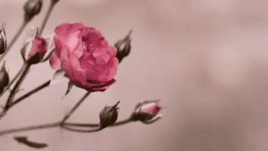 spiritual experiences