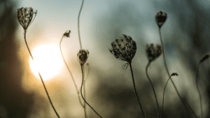 Asking for divine guidance